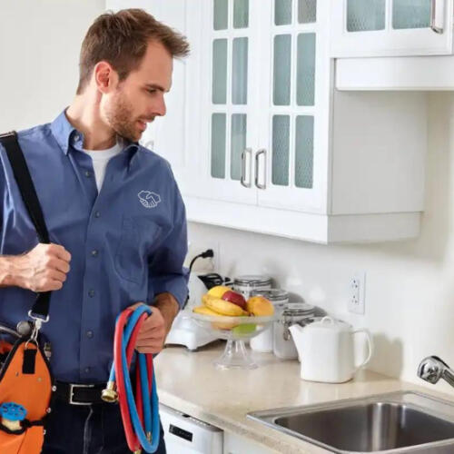 HandyMan Services Pinks home Cleaning team